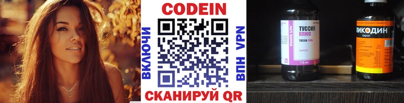 Купить закладки  Нолинск  Кодеиновый сироп Lean Purple Drank 