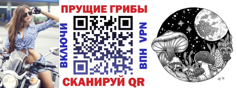 Галлюциногенные грибы Magic Shrooms  Купить закладки  Нолинск 